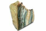 Free-Standing, Gary Green Jasper (Larsonite) Bog Wood - Oregon #334751-1
